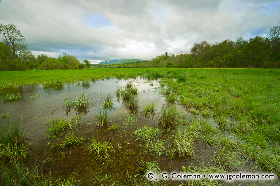 Spring Meadows of Castleton J. G. Coleman Photography