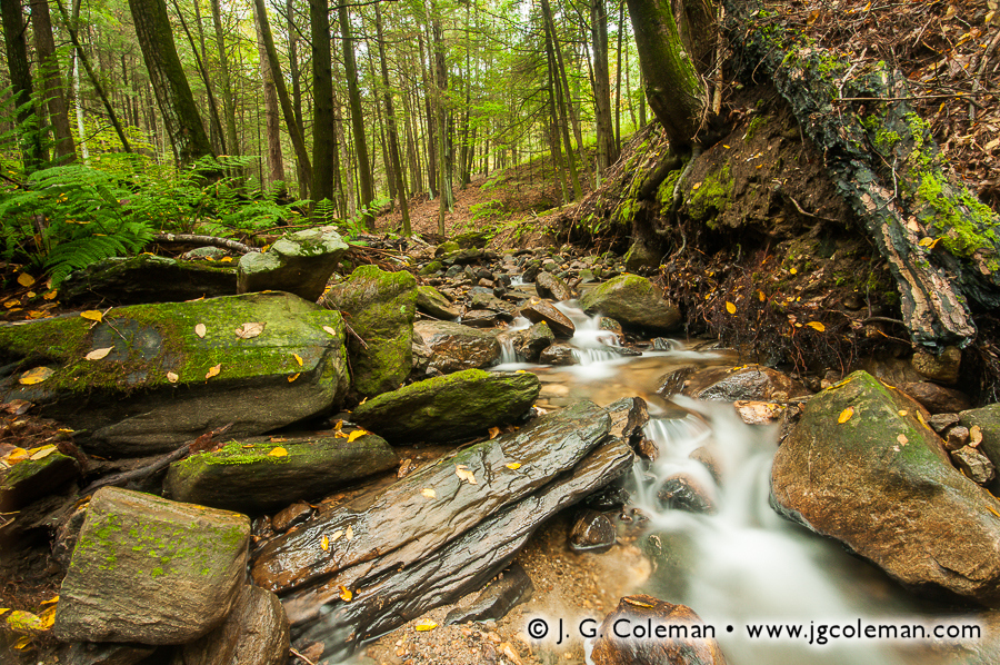 Quiet Morning on Kirby Brook J. G. Coleman Photography