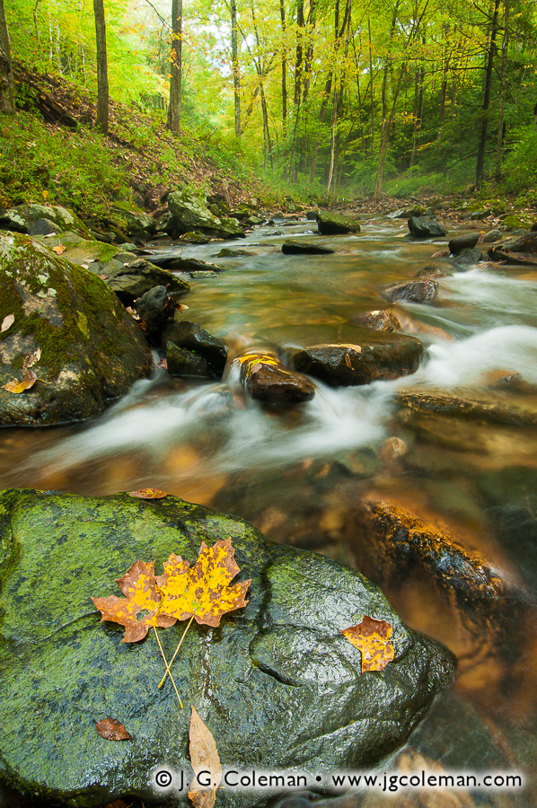 Autumn Brook at Steep Rock J. G. Coleman Photography