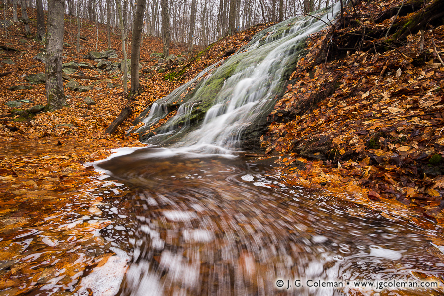 Carr Brook Emerging (The Cascade, Meshomasic State Forest, Portland, Connecticut)