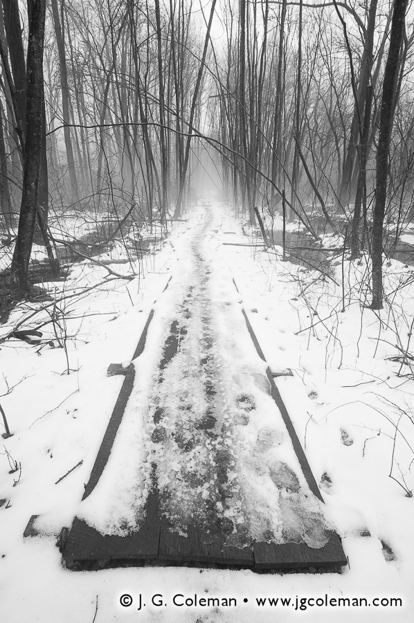 Winter Pathway (Boardwalk on the Raptor Woods Trail, Ansonia Nature Center, Ansonia, Connecticut)