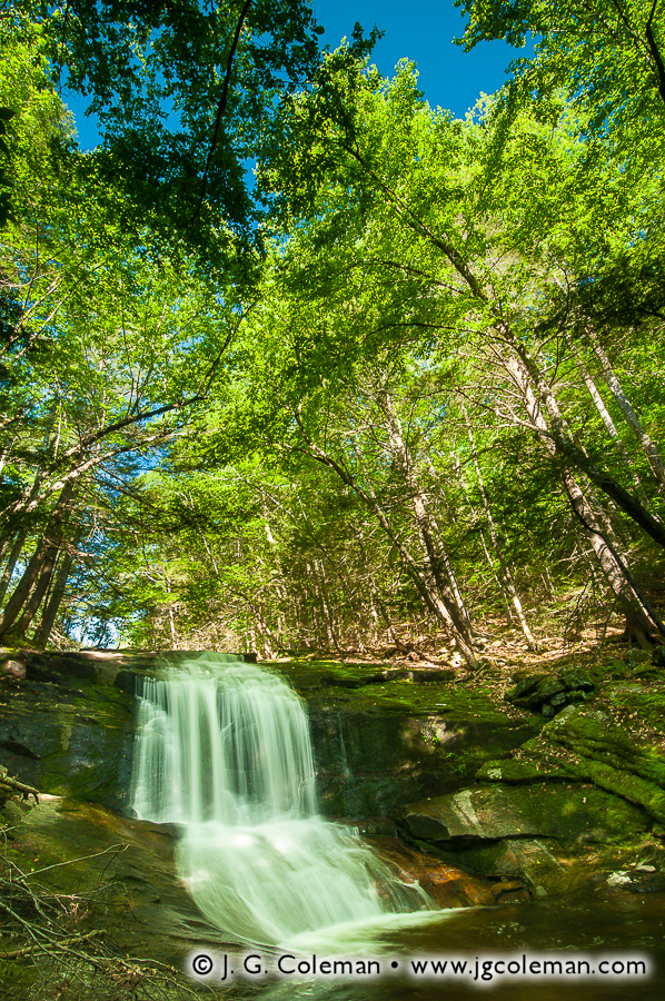 Sunny Day on Chapel Brook J. G. Coleman Photography