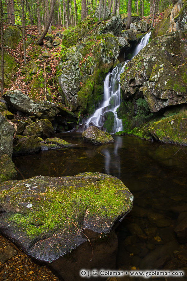 Descent To The Westfield J G Coleman Photography