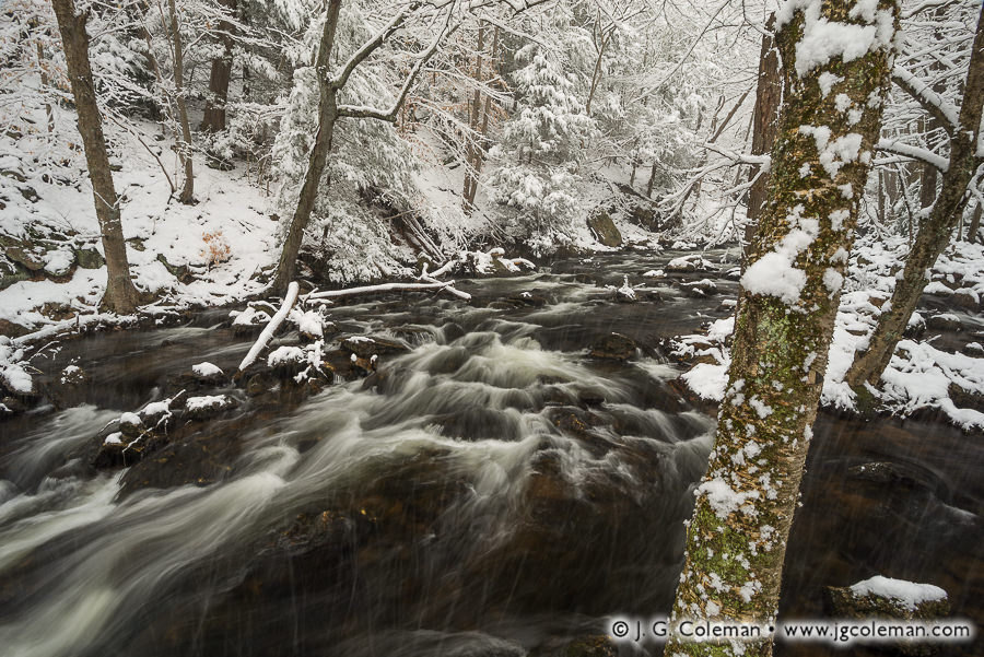 An April Welcome (Roaring Brook at Cotton Hollow Preserve, Glastonbury, Connecticut)