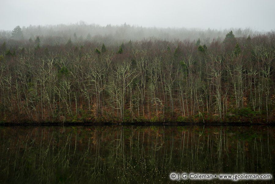 Jackson Cove Gothic J. G. Coleman Photography