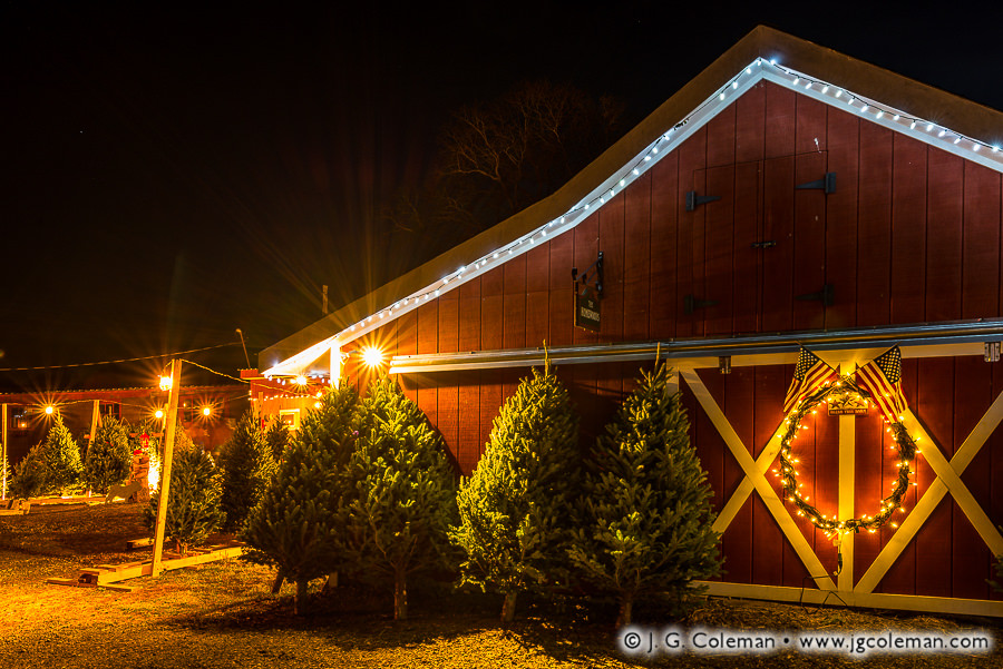 Christmas Tree Sale at Homewood Farm, Winter 2016 – J. G. Coleman Photography