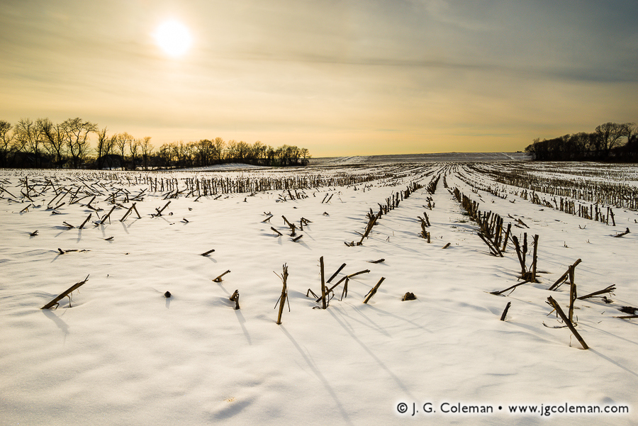 Yankee Farmlands № 50 (Snow on Corn Field, Enfield, Connecticut)