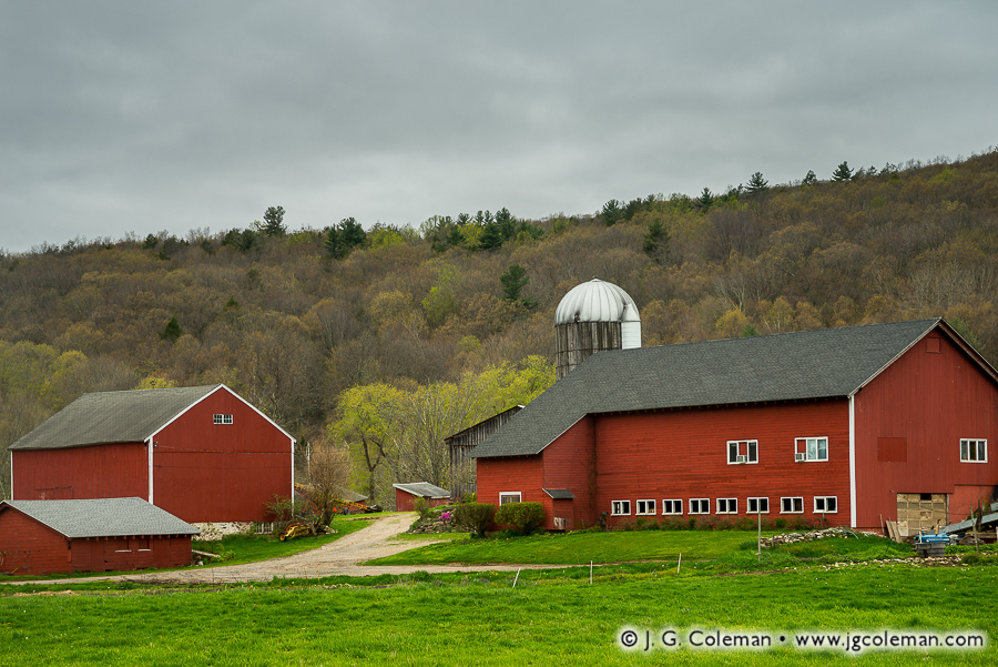Yankee Farmlands № 64 (Farm in Canton, Connecticut)