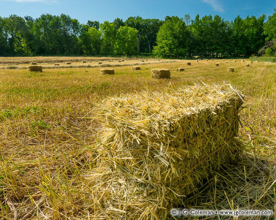 Yankee Farmlands № 71 (Square bales and windrows in hay field, Bloomfield, Connecticut)