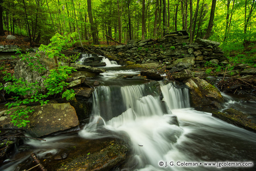 The Clarks and The Creek – J. G. Coleman Photography
